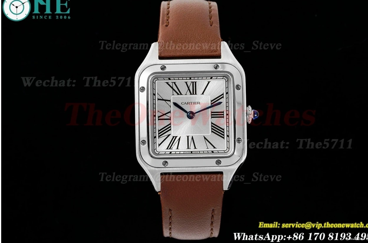 Dumont Dial Brown Silver Santos SS AF LE Quartz 0402